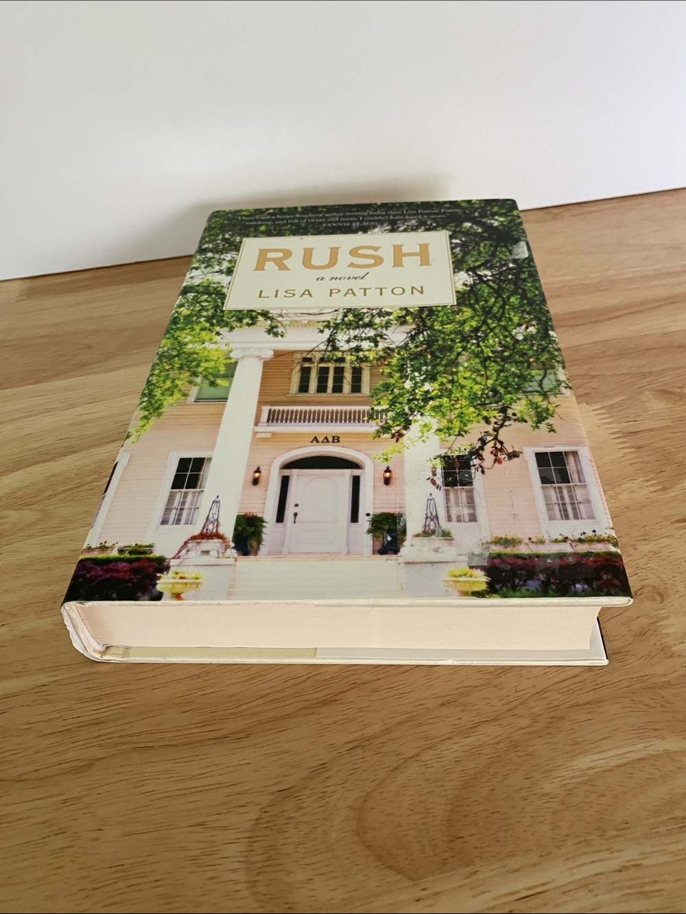 Rush A Novel by Lisa Patton Hardcover Fiction Bestselling Must-Read - Picture 6 of 8